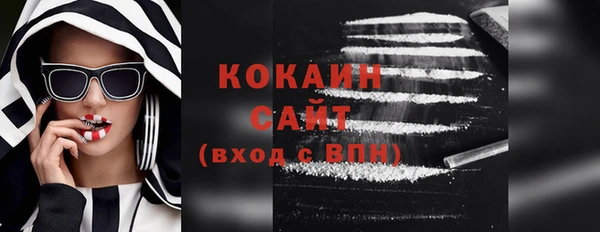мдпв Елабуга