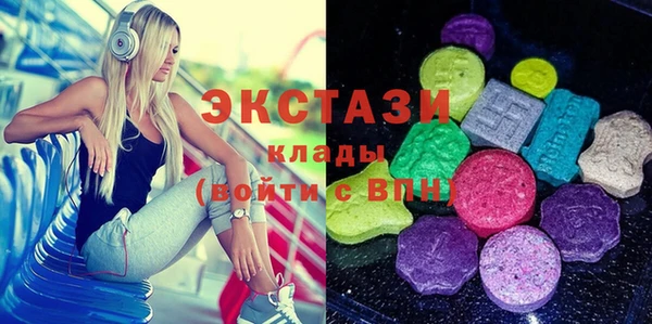 индика Ельня