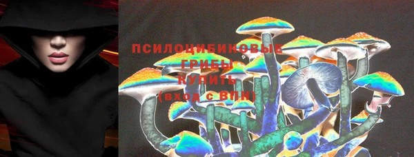 apvp Заводоуковск