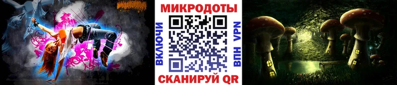 дарк нет формула Камбарка Галлюциногенные грибы GOLDEN TEACHER